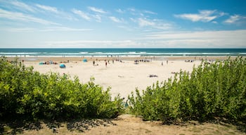 Cannon Beach featuring general coastal views and a beach