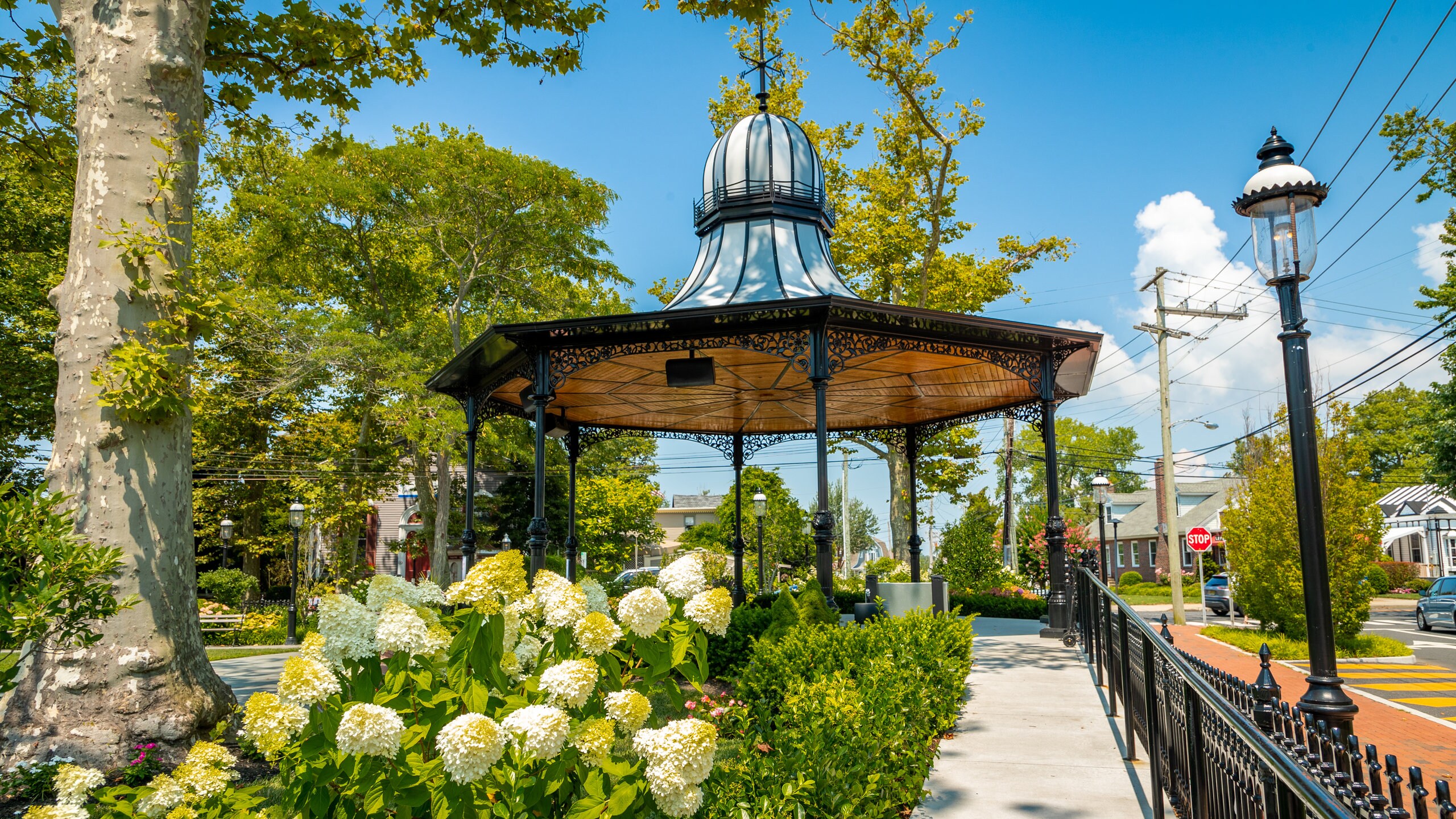 Garden Club Of Cape May Flower Show | Best Flower Site