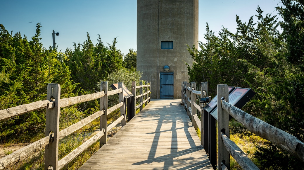 World War II Lookout Tower