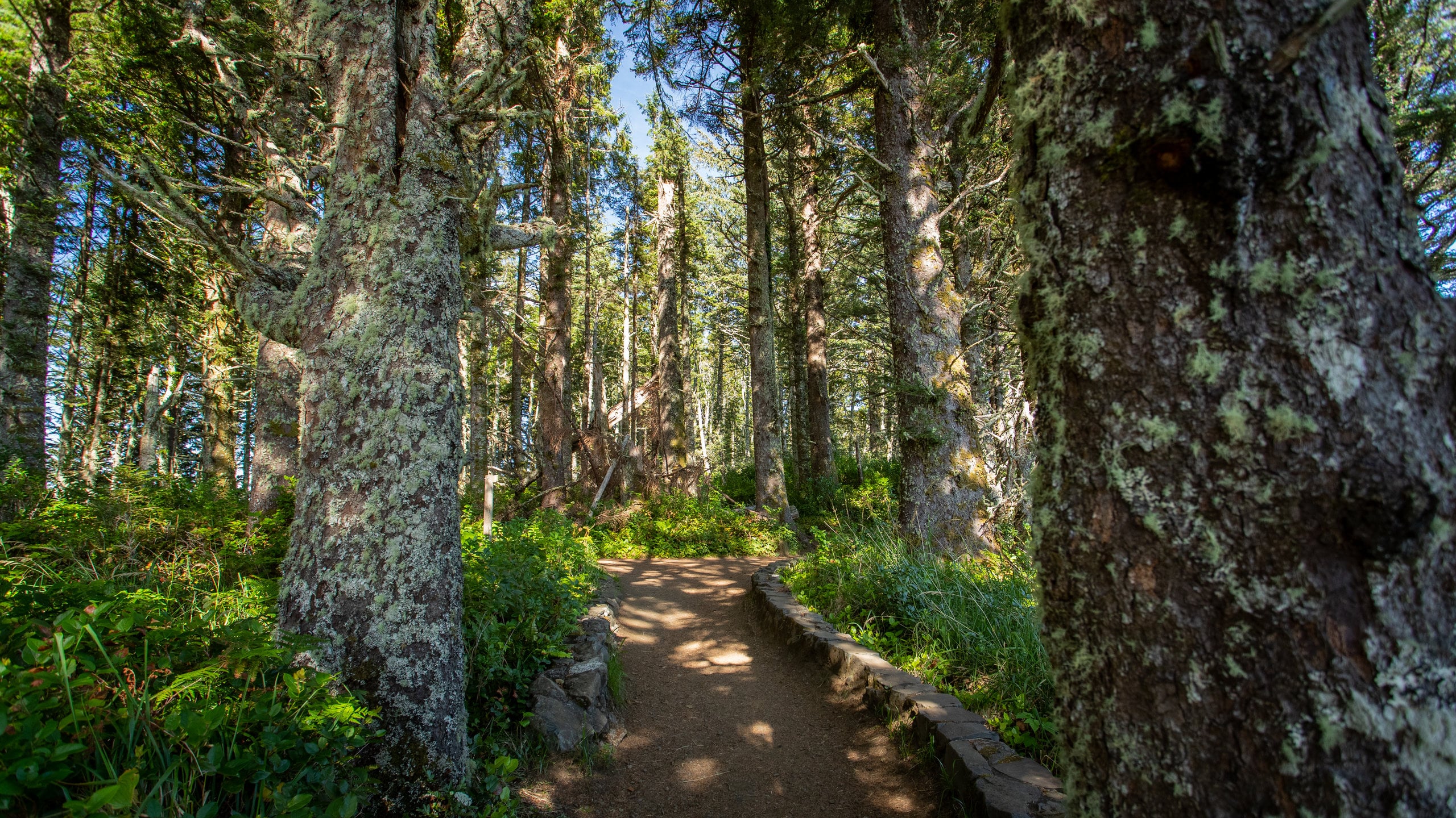 Central Oregon Coast