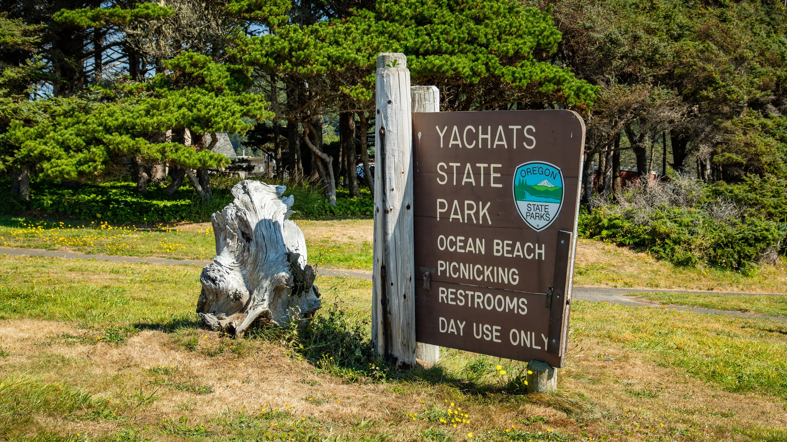 Central Oregon Coast