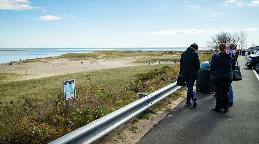 Chatham Lighthouse Beach