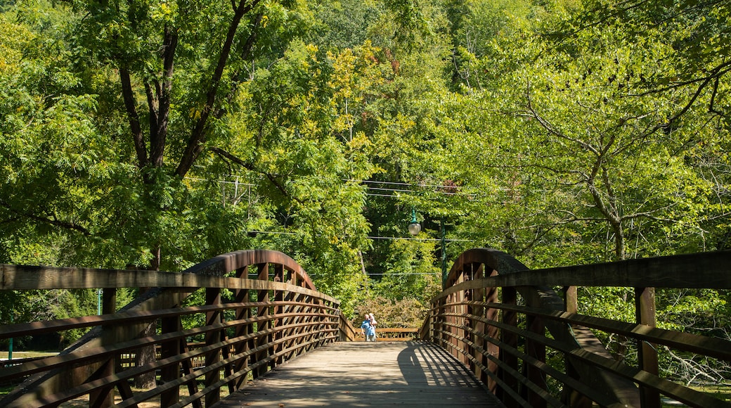 Oconaluftee Islands Park