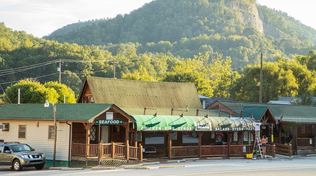 day trips from sylva nc