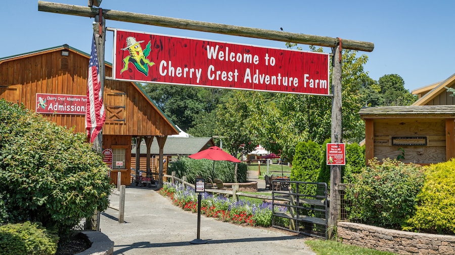 Cherry Crest Adventure Farm (ferme-labyrinthe)