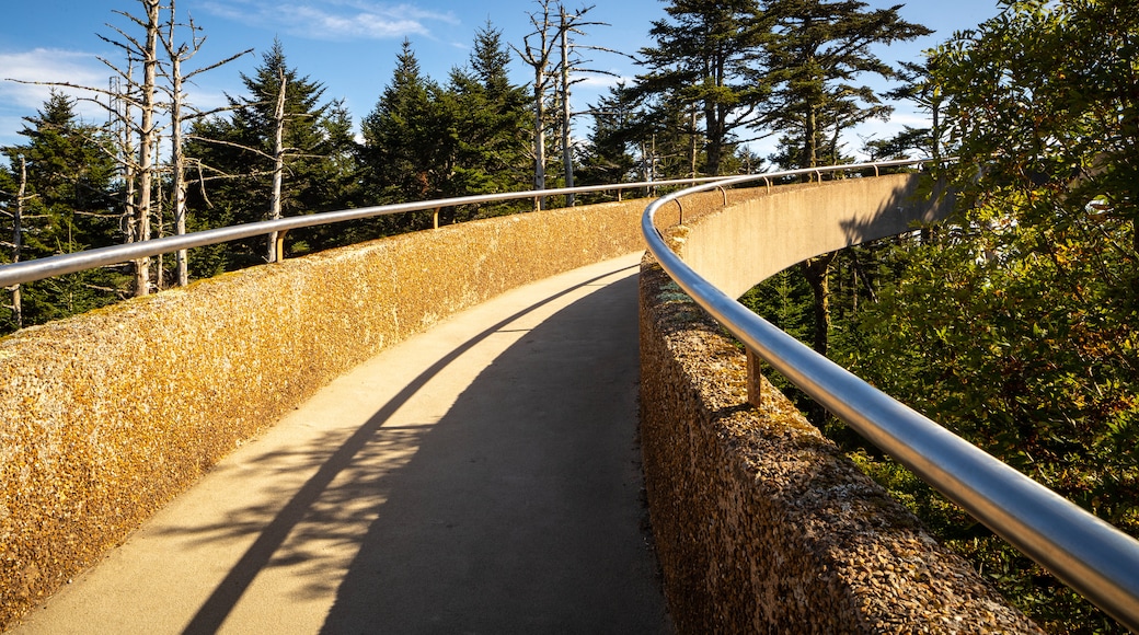 Clingmans Dome