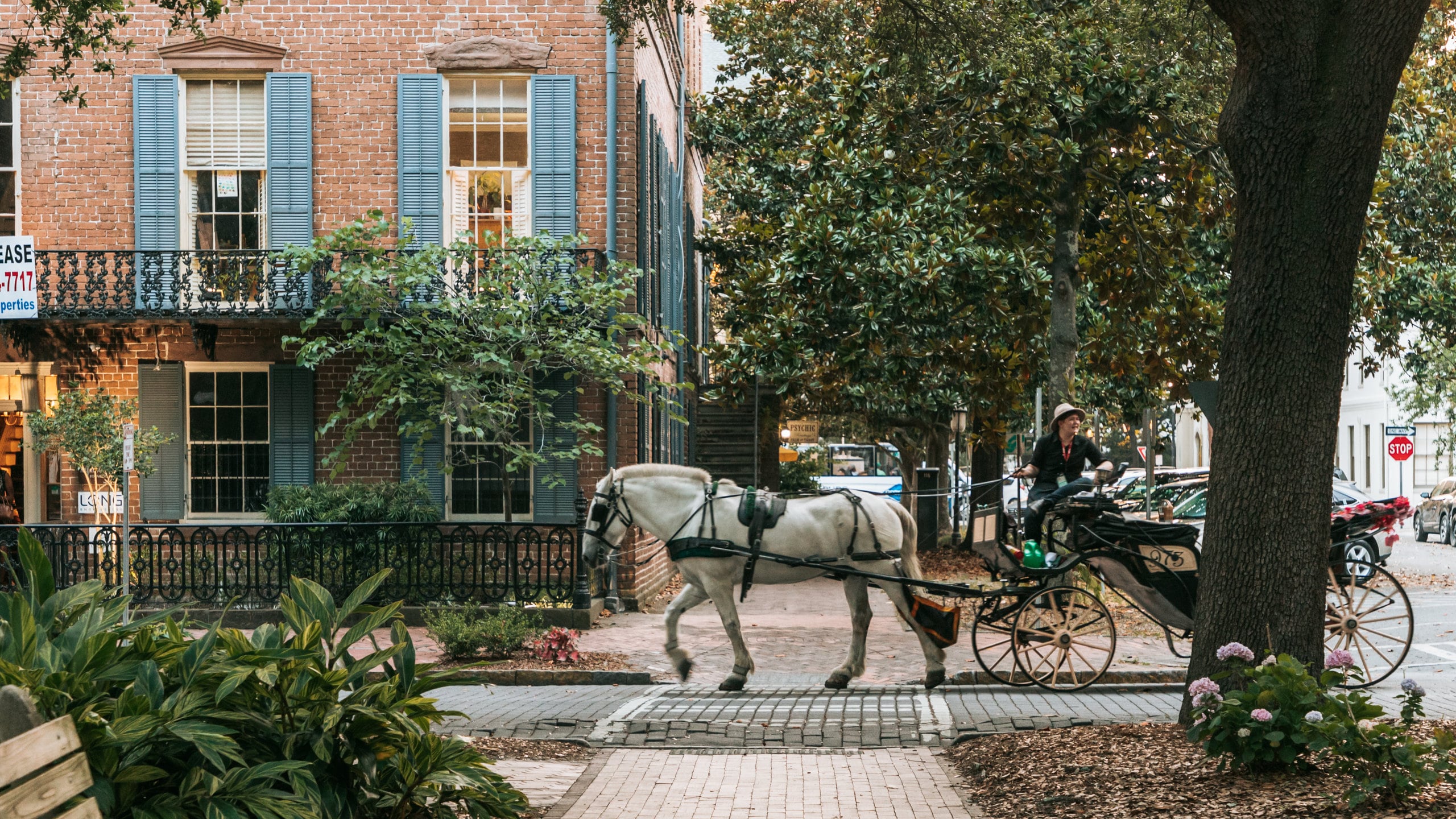 Oglethorpe Square, Savannah Vacation Rentals hotel rentals & more Vrbo