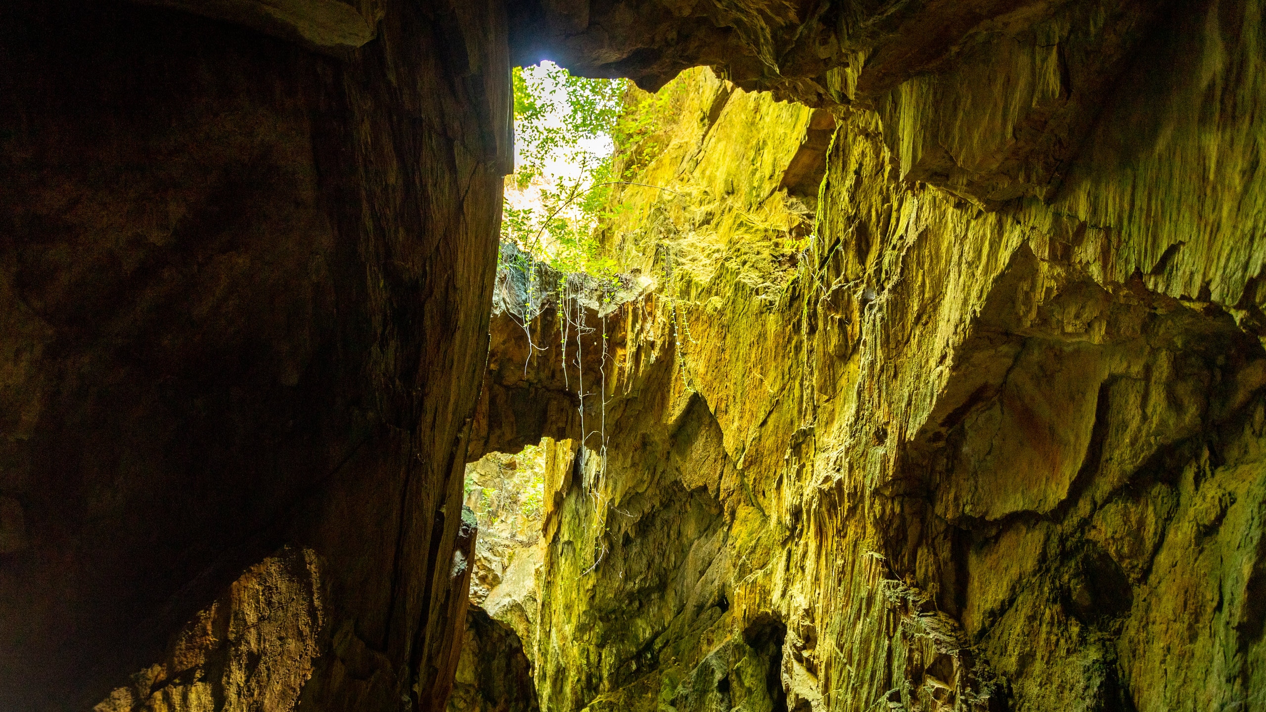 Consolidated Gold Mine – Underground Gold Mine Tours