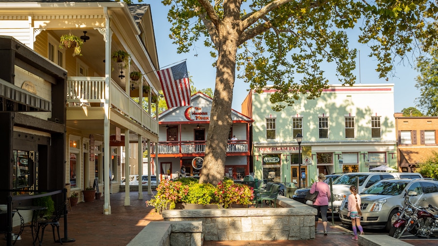 Dahlonega