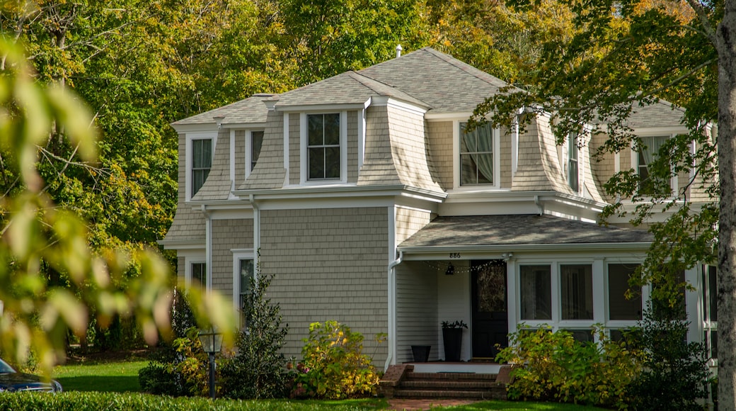 Cotuit
