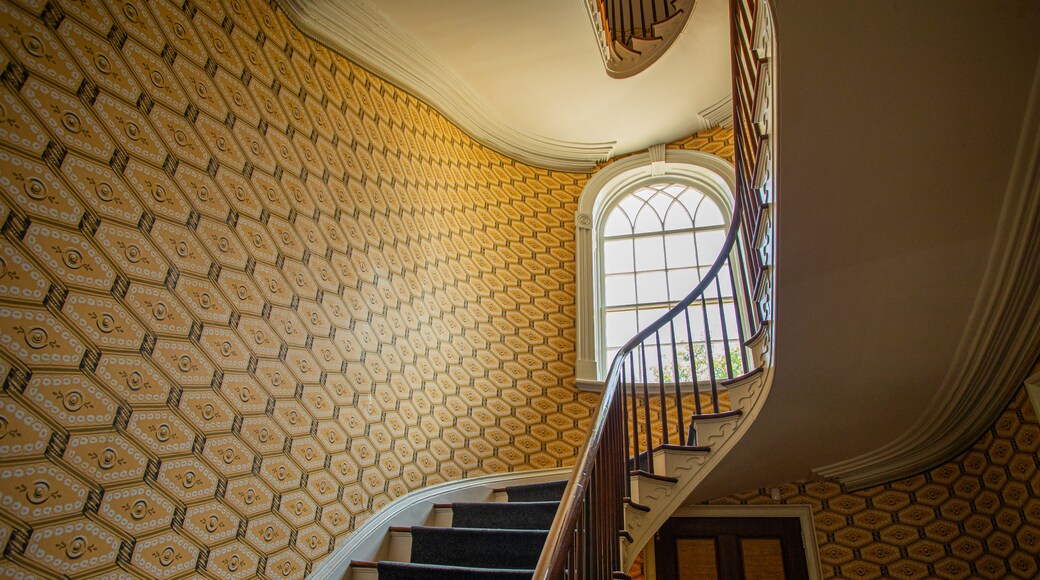 Casa museo Davenport