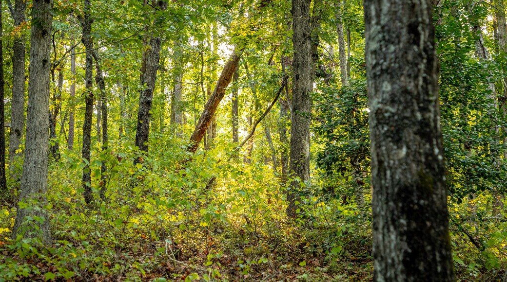 Don Carter State Park