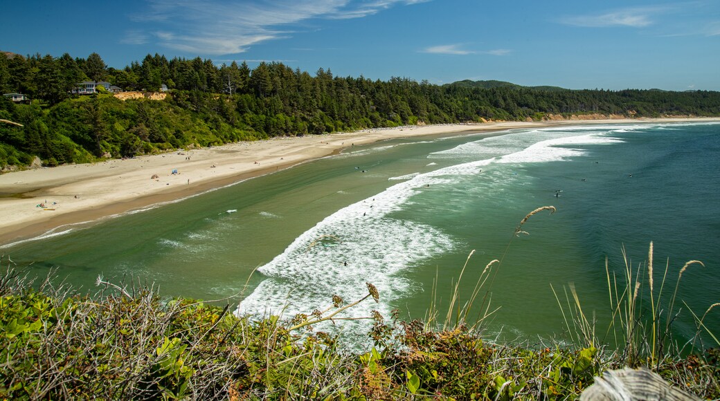 พื้นที่ธรรมชาติ Devil's Punch Bowl State