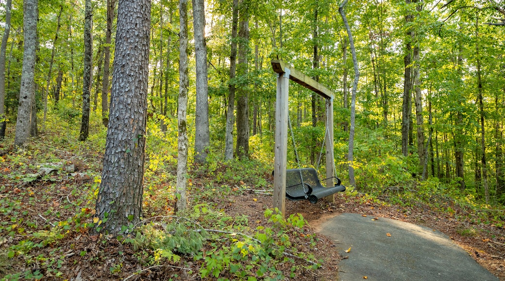 Don Carter State Park