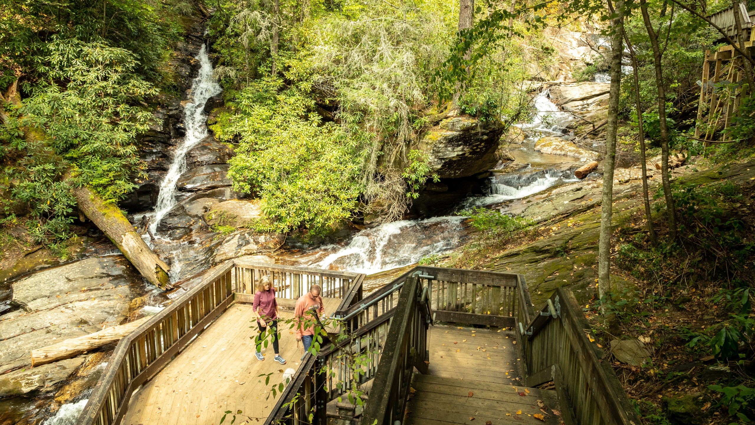 Dukes Creek Falls Trail