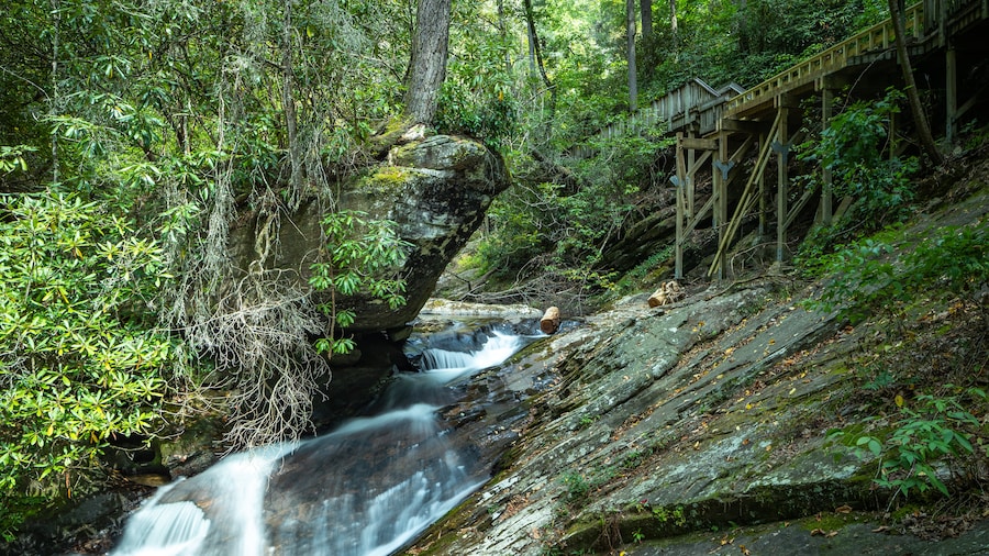 Sendero de Dukes Creek Falls