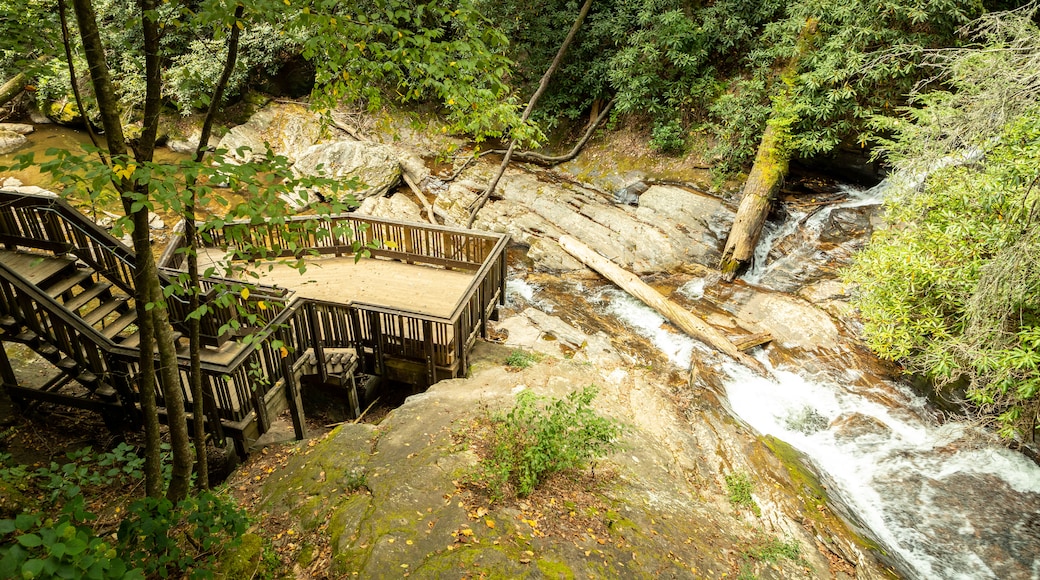 Dukes Creek Falls Trail