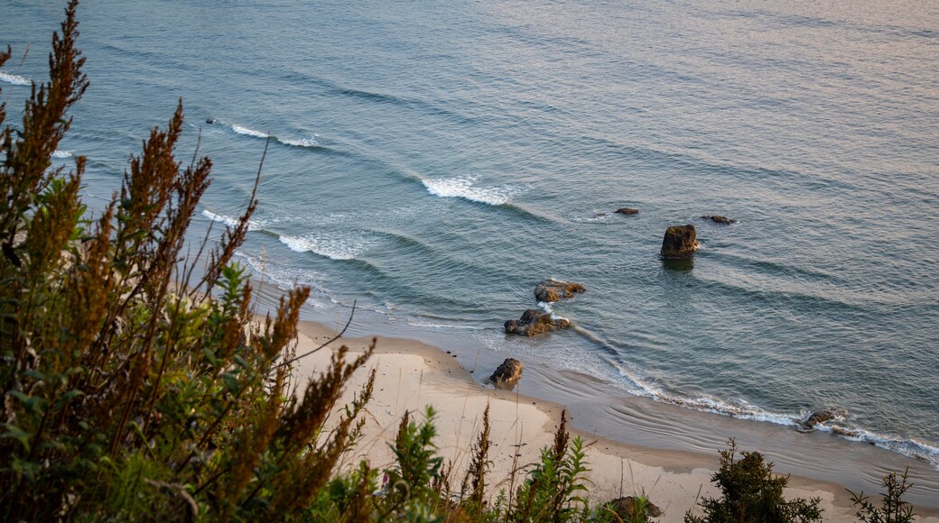 Ecola State Park