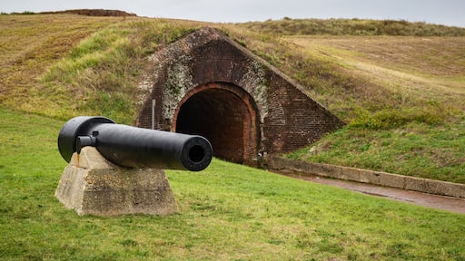 ฟอร์ตมอร์แกน