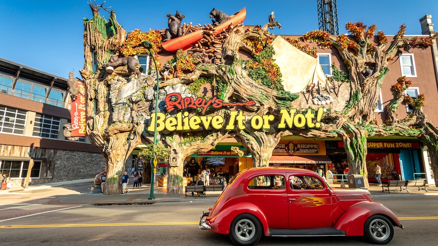 Exterior of Ripley's Believe It or Not Museum with quirky design and vibrant colors.