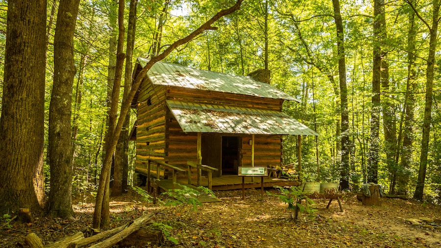 Foxfire Museum