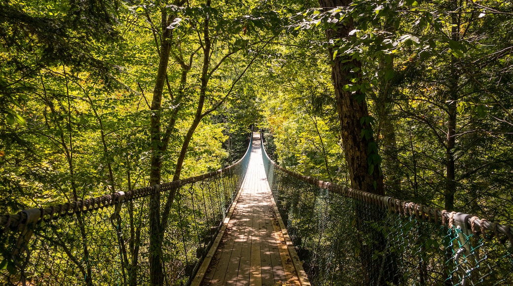 火狐山