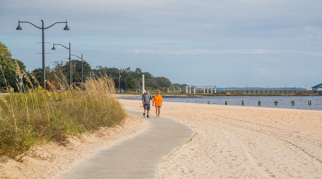 Ocean Springs Beach