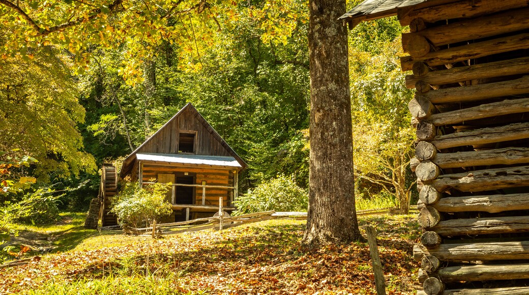 Foxfire Museum