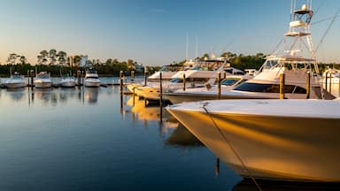 Orange Beach