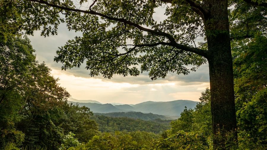 Great Smoky Mountains National Park