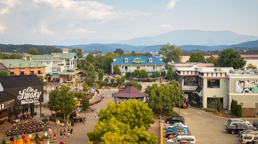 Great Smoky Mountain Wheel