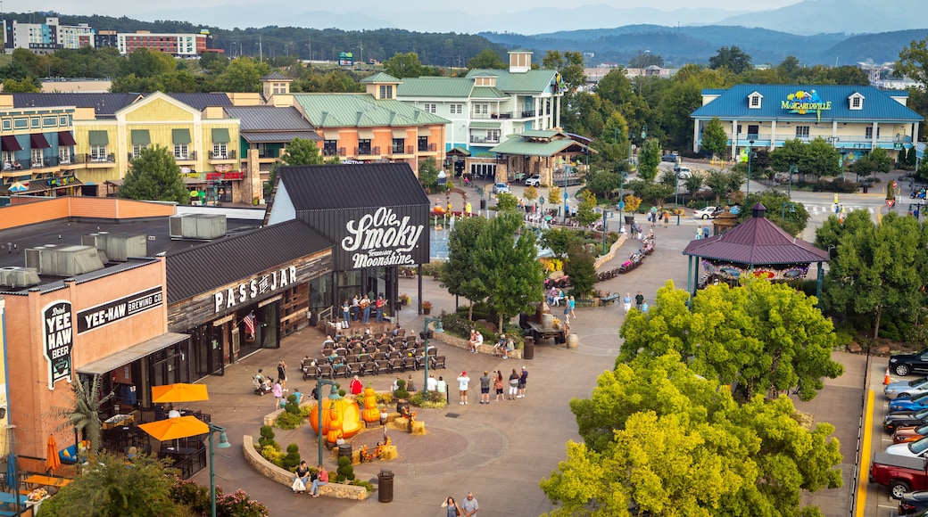 Great Smoky Mountain Wheel