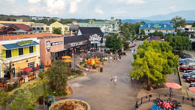 Great Smoky Mountain Wheel