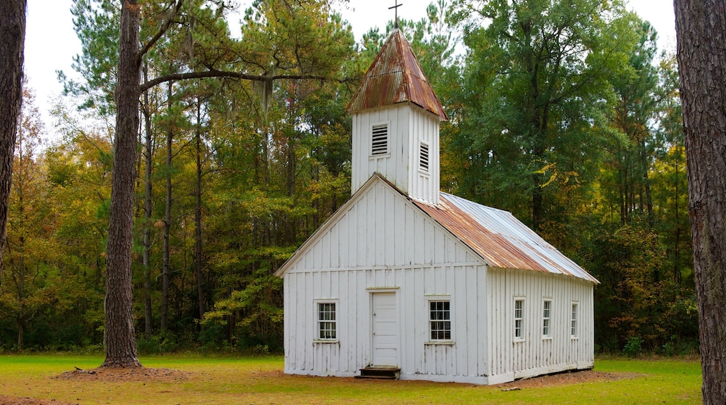 Hobcaw Barony