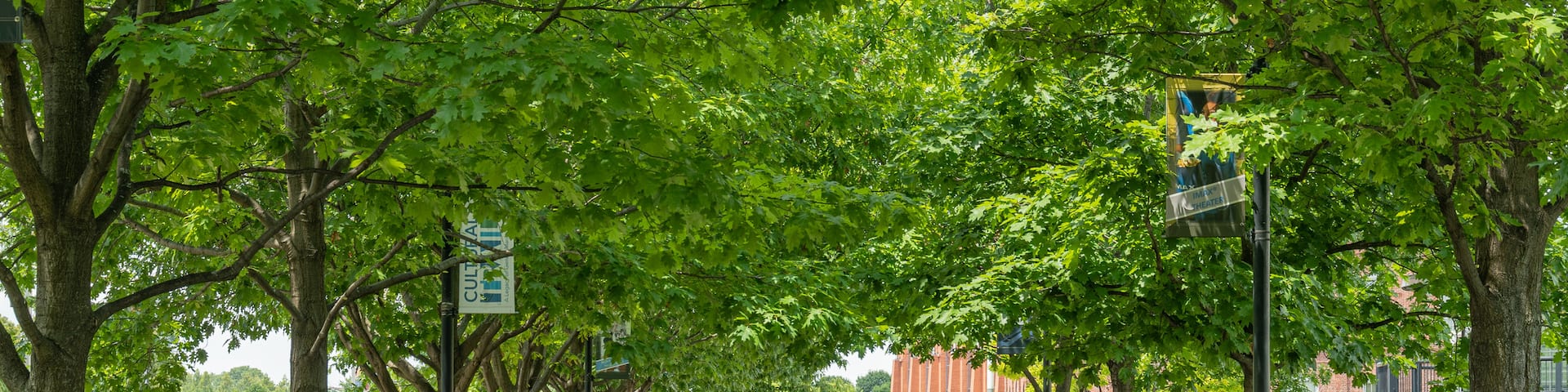 Indianapolis Cultural Trail showing a park