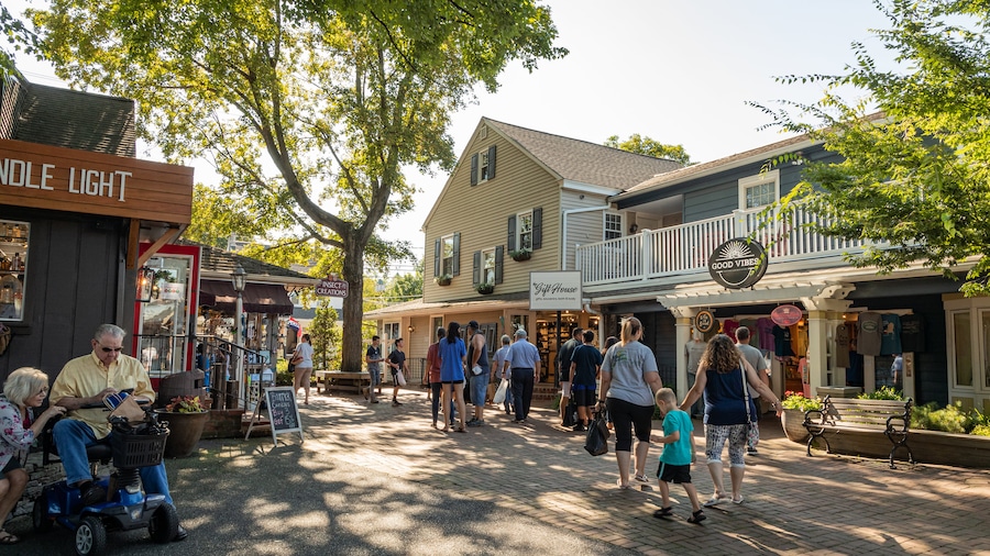Kitchen Kettle Village showing street scenes and a small town or village