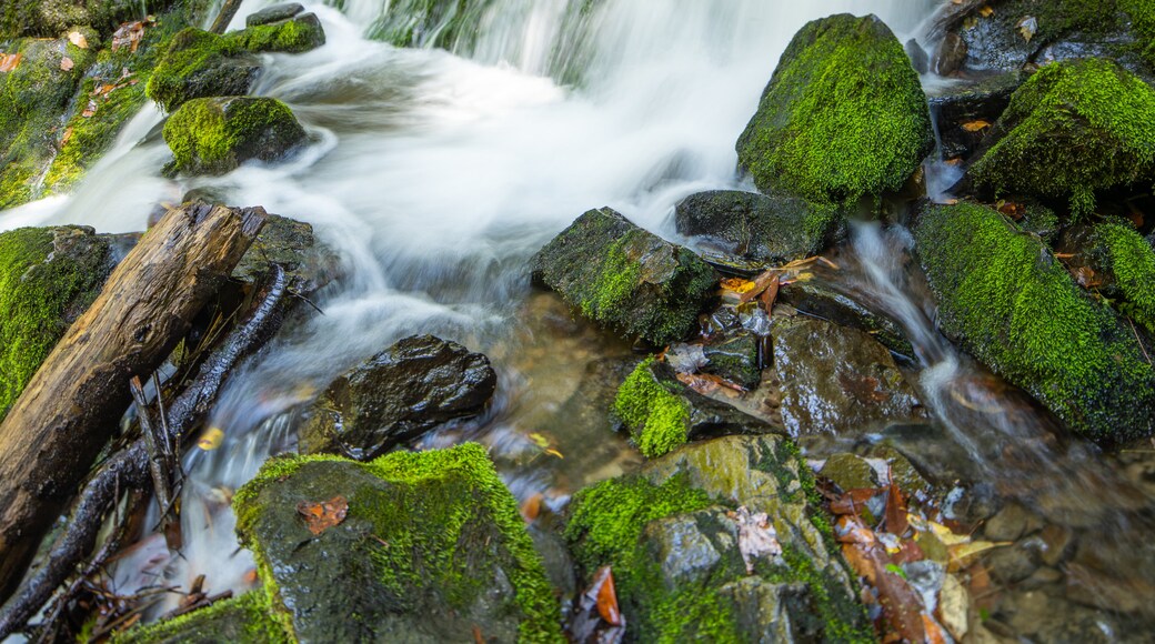 Indian Creek Falls