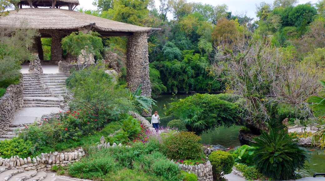 Japanese Tea Gardens