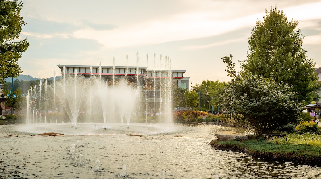 Island at Pigeon Forge showing a fountain, a pond and a sunset