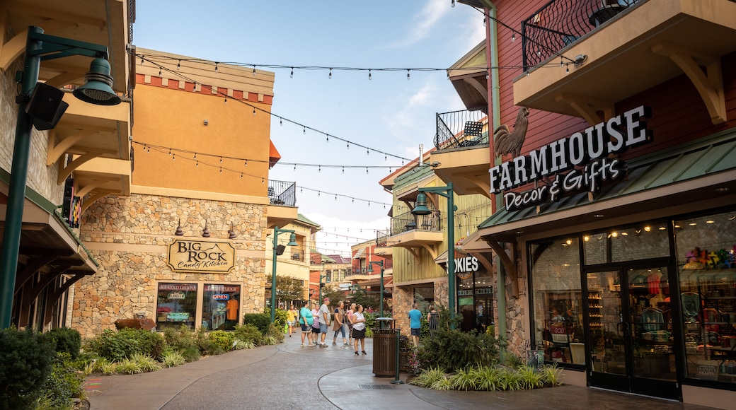 Island at Pigeon Forge featuring signage