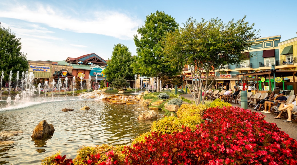 Island at Pigeon Forge showing a pond and a fountain