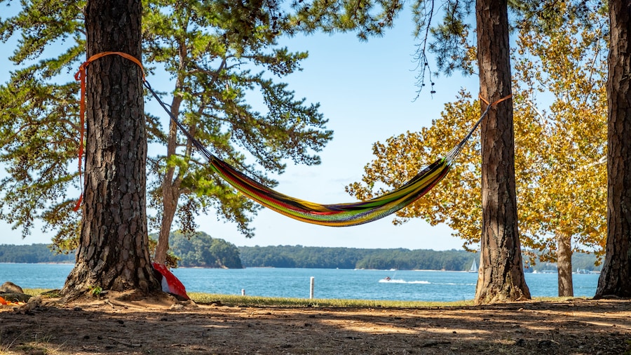 Lake Lanier