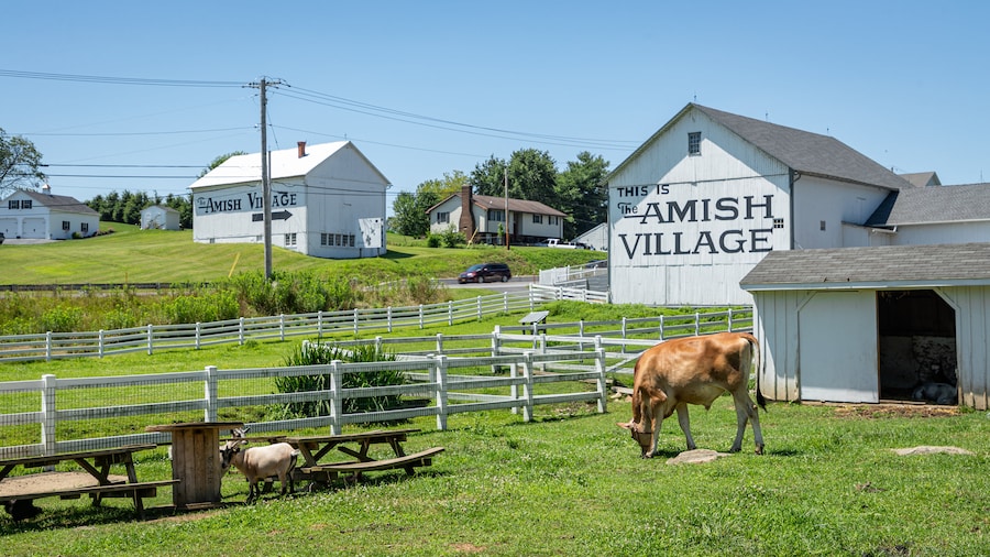Activité ludique The Amish Village