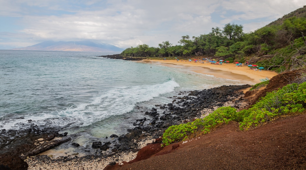 Little Beach featuring general coastal views