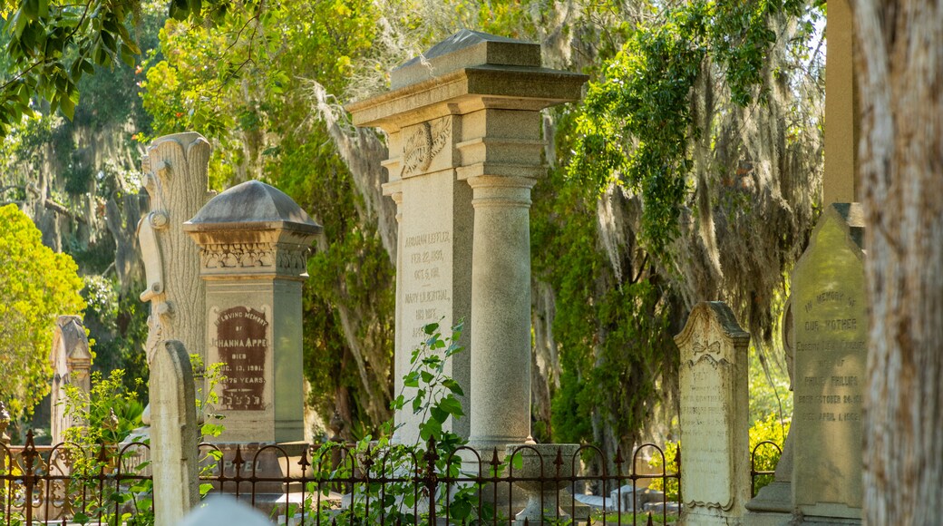 Laurel Grove North Cemetery