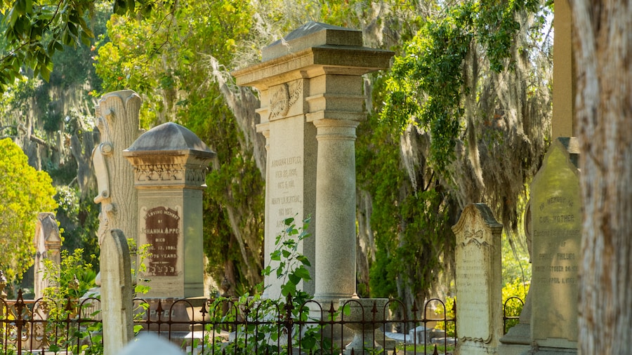Cimetière nord Laurel Grove