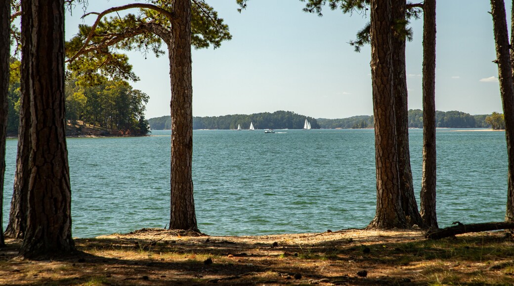 Chattahoochee River