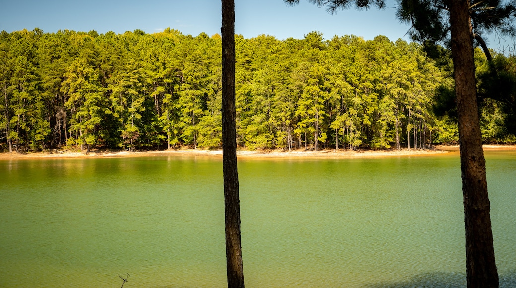 Chattahoochee River