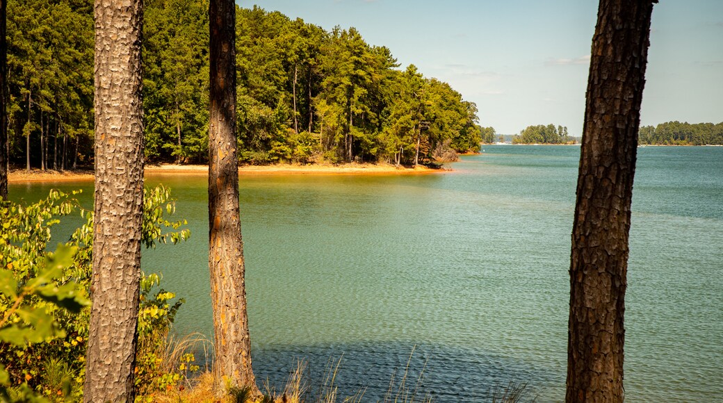 Lake Lanier