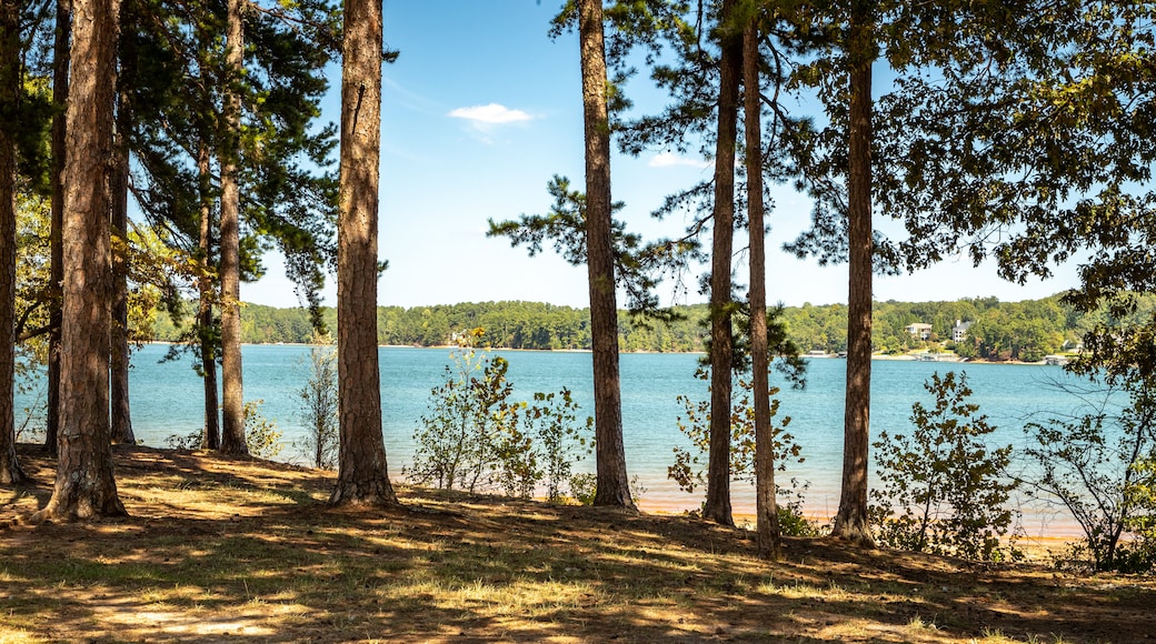 Lake Lanier